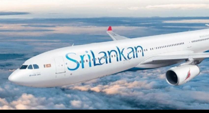 Bird Strike Grounds SriLankan Flight